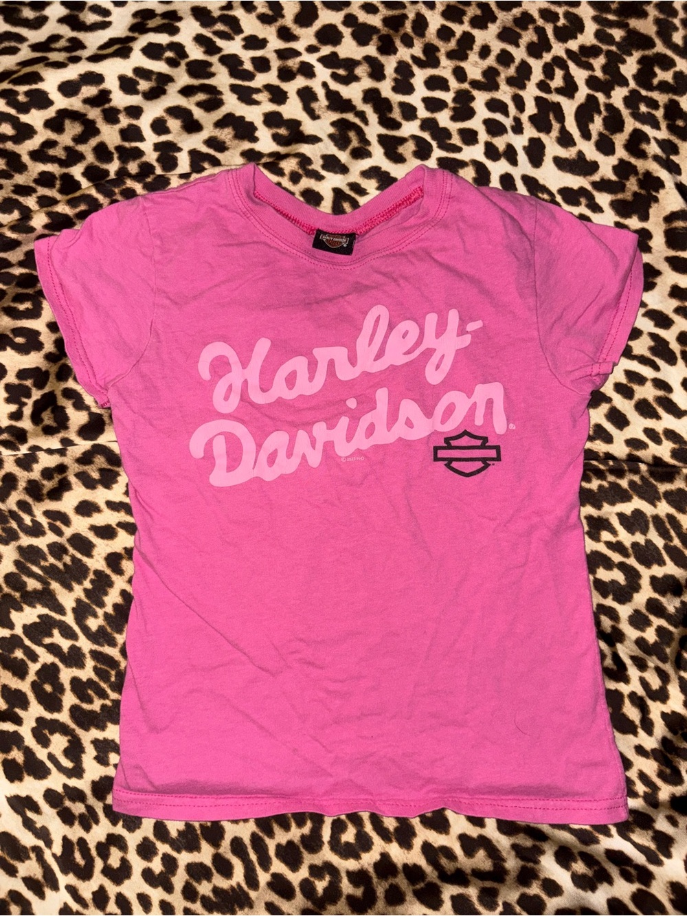 Harley-Davidson Bright Pink Script Logo Cropped Tee
